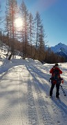 52 La stella del sole tra i larici